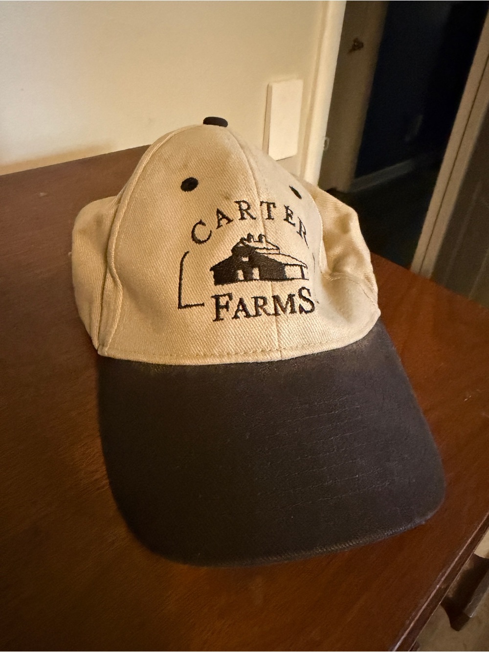 Wet Seal Carter Farms Two-Tone Baseball Cap in Beige and Black